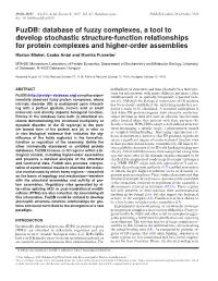 Database of Fuzzy Complexes, a Tool to Develop Stochastic Structure