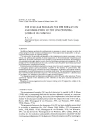 The Cellular Program for the Formation and Dissolution of the Synaptonemal Complex in Coprinus