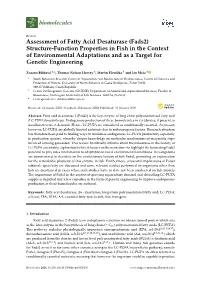 Assessment of Fatty Acid Desaturase (Fads2) Structure-Function Properties in Fish in the Context of Environmental Adaptations and As a Target for Genetic Engineering