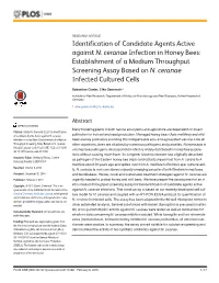 Identification of Candidate Agents Active Against N. Ceranae Infection in Honey Bees: Establishment of a Medium Throughput Screening Assay Based on N