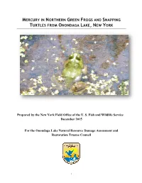Mercury in Northern Green Frogs and Snapping Turtles from Onondaga Lake, New York