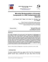 Microbial Biodegradation of Aromatic Compounds in a Soil Contaminated with Gasohol