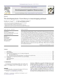 The Developing Brain: from Theory to Neuroimaging and Back
