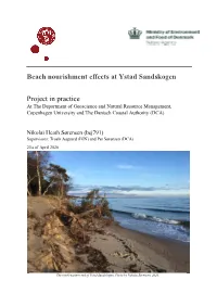 Beach Nourishment Effects at Ystad Sandskogen Project in Practice