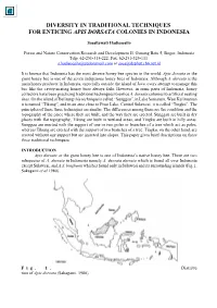 Diversity in Traditional Techniques for Enticing Apis Dorsata Colonies in Indonesia