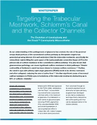 Targeting the Trabecular Meshwork, Schlemm's Canal and the Collector Channels