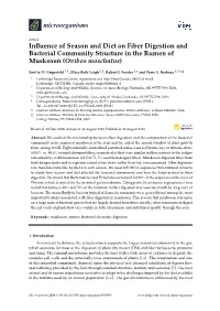 Influence of Season and Diet on Fiber Digestion and Bacterial Community Structure in the Rumen of Muskoxen