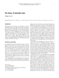 The Future of Hydraulic Tests