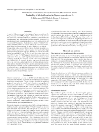 Variability of Alkaloid Content in Papaver Somniferum L. A