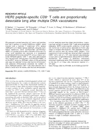 HER2 Peptide-Specific CD8 T Cells Are Proportionally Detectable Long After