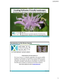 Creating Pollinator-Friendly Landscapes How Everyone Can Take Action to Protect Pollinators and Improve Habitat