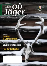Der Uhu in Oberösterreich Beutegreiferbejagung Fest Der