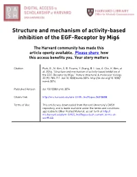 Structure and Mechanism of Activity-Based Inhibition of the EGF-Receptor by Mig6