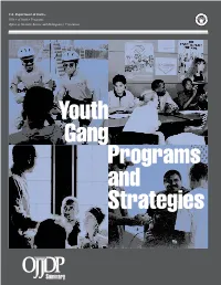 Youth Gang Programs and Strategies
