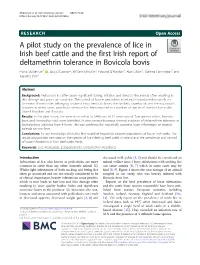 A Pilot Study on the Prevalence of Lice in Irish Beef Cattle and the First Irish