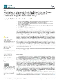 Modulation of Interhemispheric Inhibition Between Primary Motor Cortices Induced by Manual Motor Imitation: a Transcranial Magnetic Stimulation Study