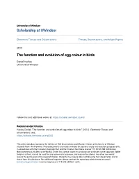 The Function and Evolution of Egg Colour in Birds