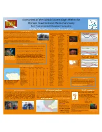 Sub-Tidal Monitoring in the OCNMS