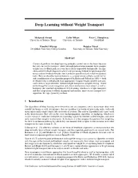 Deep Learning Without Weight Transport