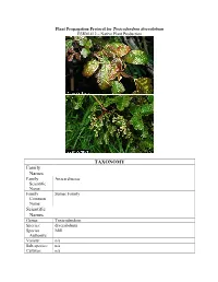 Draft Plant Propagation Protocol