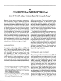 Neuroptera (Neuropterida)