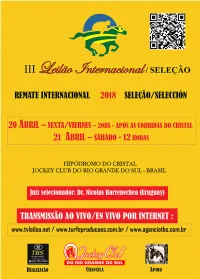 TBS Internacional.P65