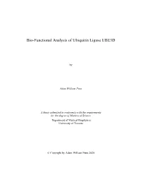 Bio-Functional Analysis of Ubiquitin Ligase UBE3D