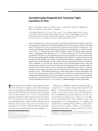 Gonadotropins Regulate Rat Testicular Tight Junctions in Vivo