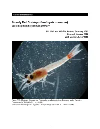Hemimysis Anomala) Ecological Risk Screening Summary