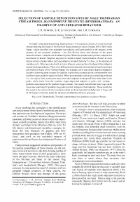 Stream Frogs, Mannophryne Trinitatis (Dendrobatidae): an Example of Anti-Predator Behaviour
