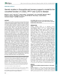 Genetic Studies in Drosophila and Humans Support a Model for the Concerted Function of CISD2, PPT1 and CLN3 in Disease