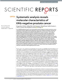 Systematic Analysis Reveals Molecular Characteristics of ERG-Negative