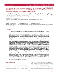 Increased CHST15 Follows Decline in Arylsulfatase B (ARSB) and Disinhibition of Non-Canonical WNT Signaling: Potential Impact on Epithelial and Mesenchymal Identity