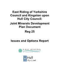 Issues and Option – Joint Minerals Plan