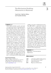 The Mechanism Enabling Hibernation in Mammals 3