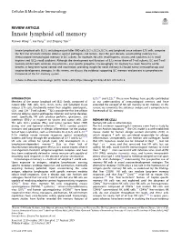 Innate Lymphoid Cell Memory