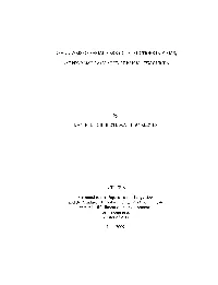 Reanalysis of Serial Verb Constructions in Yimas, a Sepik-Ramu Language Ofpapua