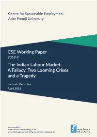 CSE Working Paper the Indian Labour Market