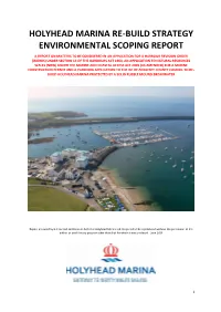 Holyhead Marina Re-Build Strategy Environmental Scoping Report