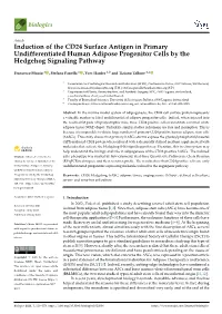 Induction of the CD24 Surface Antigen in Primary Undifferentiated Human Adipose Progenitor Cells by the Hedgehog Signaling Pathway