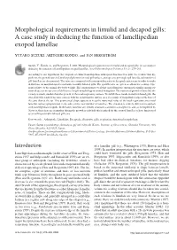 Morphological Requirements in Limulid and Decapod Gills: a Case Study in Deducing the Function of Lamellipedian Exopod Lamellae