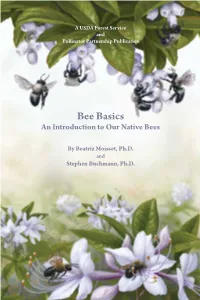 (Native) Bee Basics