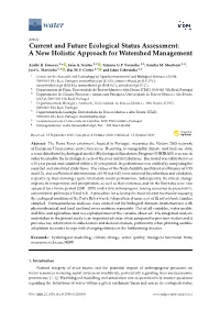 Current and Future Ecological Status Assessment: a New Holistic Approach for Watershed Management