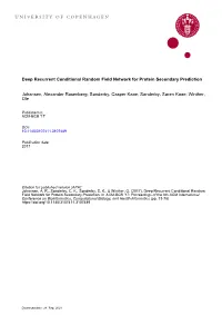 Deep Recurrent Conditional Random Field Network for Protein Secondary Prediction