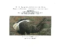 Greater Sage-Grouse (Centrocercus Urophasianus)