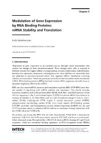 Modulation of Gene Expression by RNA Binding Proteins: Mrna Stability and Translation
