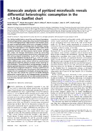 Nanoscale Analysis of Pyritized Microfossils Reveals Differential Heterotrophic Consumption in the ∼1.9-Ga Gunﬂint Chert
