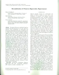 Reconsideration of Protocrea (Hypocreales, Hypocreaceae)