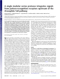 A Single Modular Serine Protease Integrates Signals from Pattern-Recognition Receptors Upstream of the Drosophila Toll Pathway