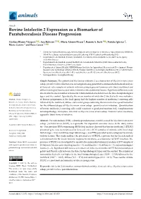 Bovine Intelectin 2 Expression As a Biomarker of Paratuberculosis Disease Progression